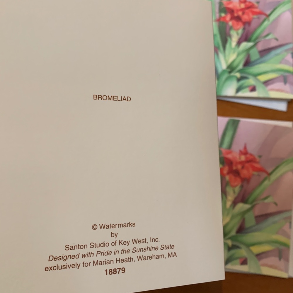 Vintage 80’s Floral Bromeliad Note Cards - Picture 3 of 3